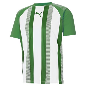 Puma Teamliga Striped Jersey