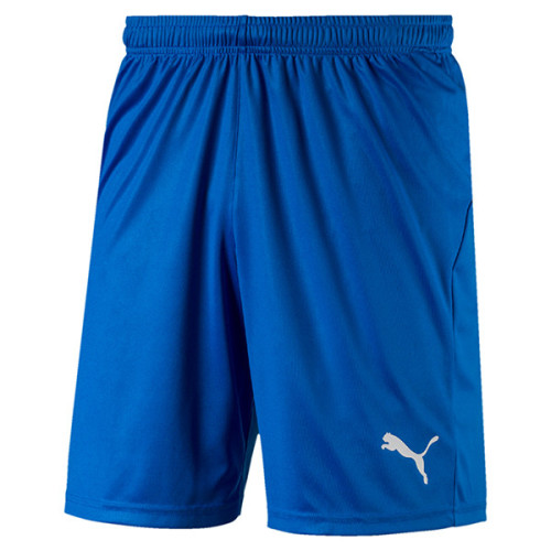 puma polyester shorts