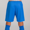 Joma Liga Shorts