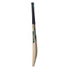 GM Aion 606 English Willow Cricket Bat