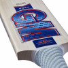 GM Mana Kashmir Willow Cricket Bat