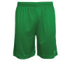 Stanno Field Shorts