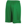 Stanno Field Shorts