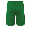 Stanno Club Pro Shorts