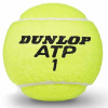 Dunlop ATP Championship Tennis Balls (Tube of 3)