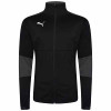 Puma Final Training Jacket - Black/Asphalt