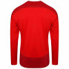 Puma Goal Training Sweat