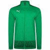 Puma Goal Training Jacket - Pepper Green/Power Green