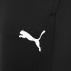 Puma Team Liga Training Pro Pants