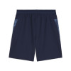 Puma Team Cup Training Shorts