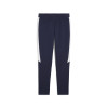 Puma Team Evo Stripe Pants