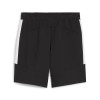 Puma Team Evo Stripe Shorts