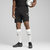 Puma Team Evo Stripe Shorts