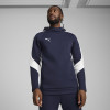 Puma Team Evo Stripe Hoody