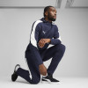 Puma Team Evo Stripe Hoody