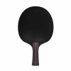 Dunlop Blackstorm TT Bat