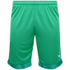 Puma Cup Short