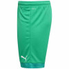 Puma Cup Short