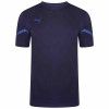 Puma Team Flash Jersey