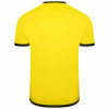 Puma Team Liga Jersey