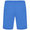 Puma Team Liga Shorts