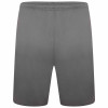 Puma Team Liga Shorts