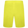 Puma Team Liga Shorts