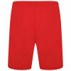 Puma Team Rise Shorts