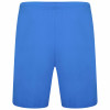 Puma Team Rise Shorts