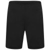 Puma Team Rise Shorts