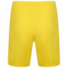 Puma Team Rise Shorts