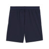 Puma Team Cup Shorts