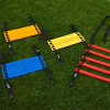 Mitre Agility Ladder Quad Set