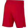 Nike Laser IV Short