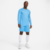 Nike Park VII Jersey (Long Sleeve)