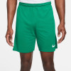 Nike Park III Short