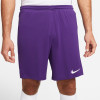 Nike Park III Short