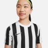 Nike Striped Division IV Jersey (Short Sleeve) - White/Black