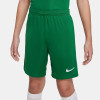 Nike League III Knit Shorts