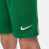 Nike League III Knit Shorts