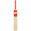 Powerplay 2020 Deluxe Size 5 Cricket Set