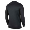 Nike Park VII Jersey (Long Sleeve)