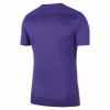 Nike Park VII Jersey (Short Sleeve)