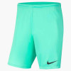 Nike Park III Short