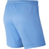 Nike Womens Park III Short