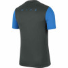 Nike Academy Pro T-Shirt