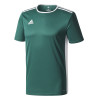 adidas Entrada 18 Jersey (Short Sleeve) - Collegiate Green/White Bundle