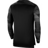 Nike Park IV Gk Jersey