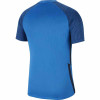 Nike Strike II Jersey (Short Sleeve)