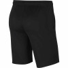 Nike Park 20 Training Short